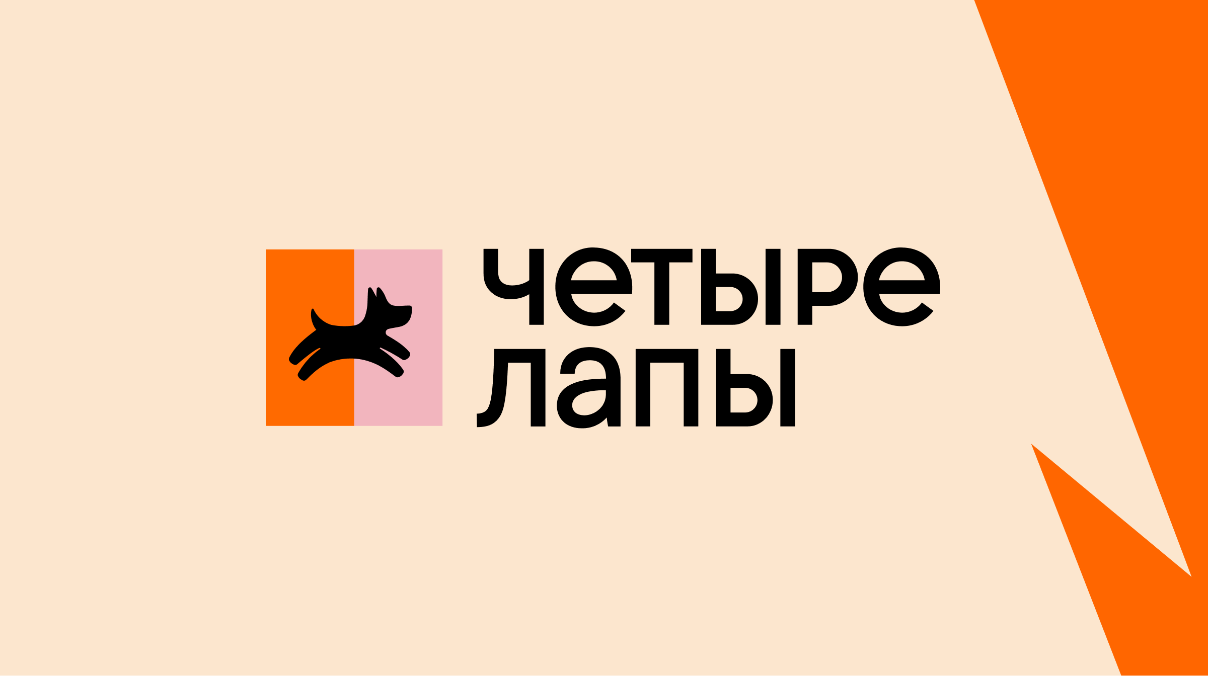 Как сеть зоомагазинов Четыре Лапы увеличила выручку на 11% с помощью персонализированных рекомендаций в приложении